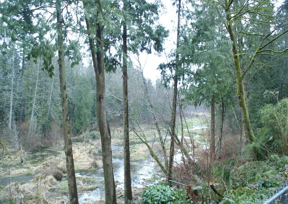 2nd image of 10524 38th Ave NE