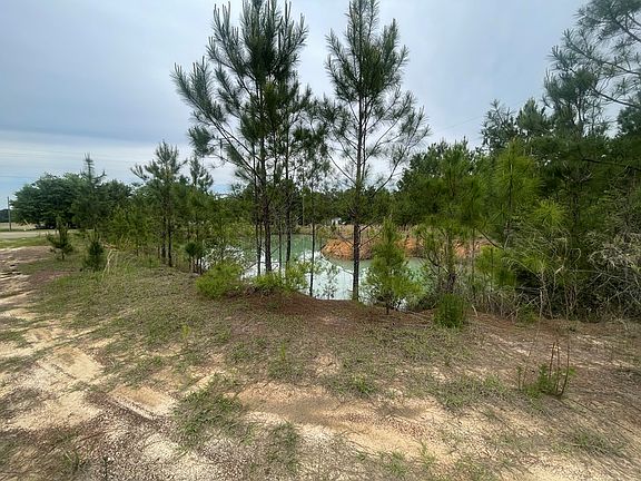 5th image of 2691 Amboy Rebecca Rd