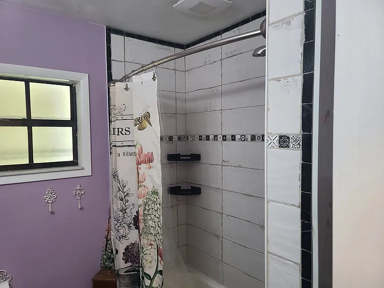 Hall bathroom