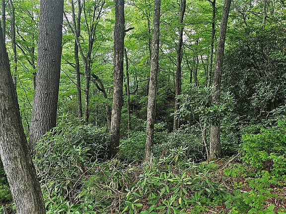 2nd image of 30 Top of the Ridge Road