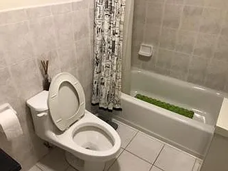 Rented by R New York