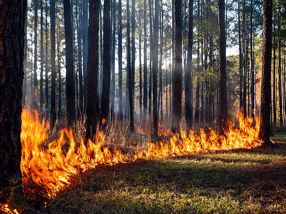 18th image of this home