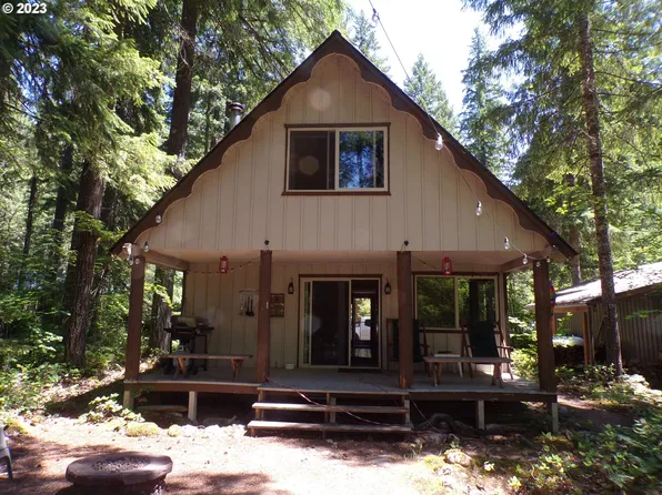 Cabin 110 Northwoods, Cougar, WA 98616