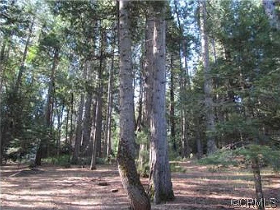 2nd image of 26640 Sugar Pine Dr