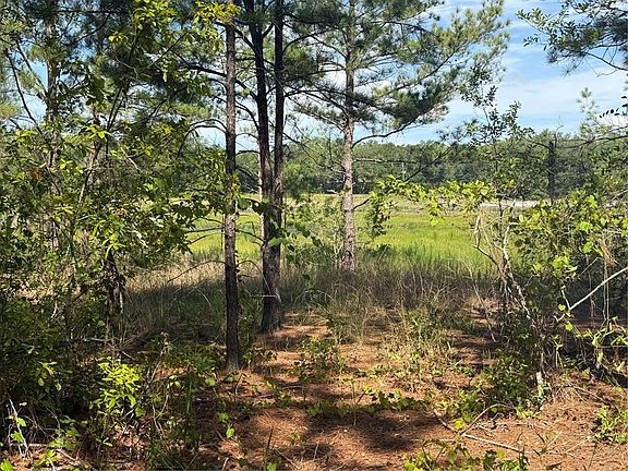 4th image of TBD GUAVA TERRACE LOT 11
