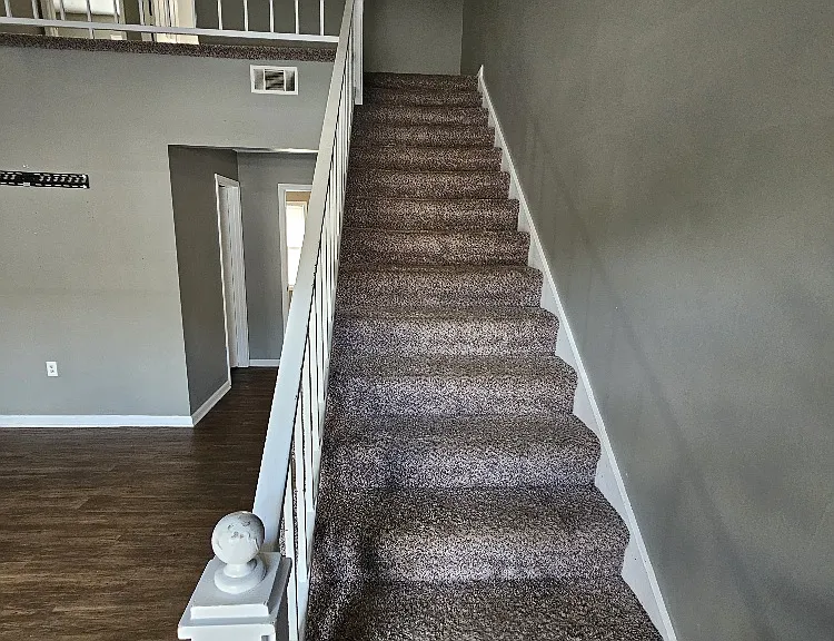 230.5 Lanier Dr #244 — Photo 15