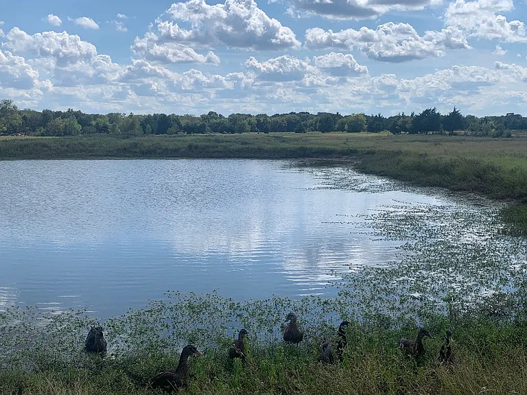 2339 W FM 898 — Photo 11