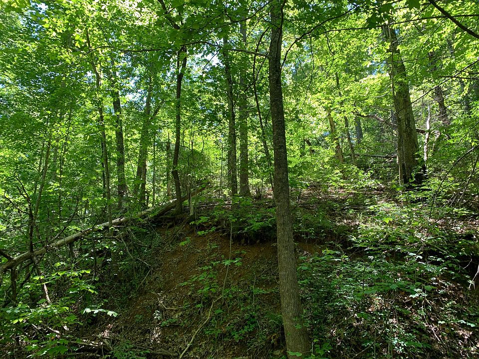 1st image of 202 Autumn Ln
