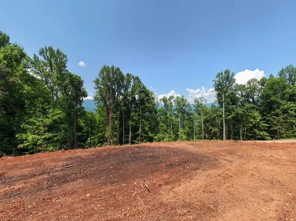 123 Shiloh Dr, Hayesville, NC 28904