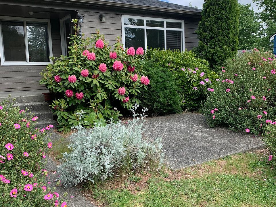 Front entrance and patio