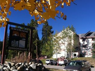 1001 Grandview Dr APT 107, Breckenridge, CO 80424
