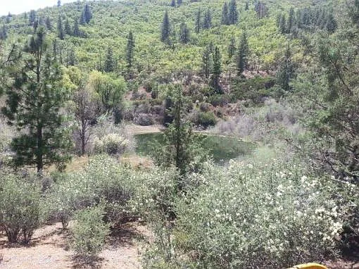 2531 Long Gulch Rd photo 1
