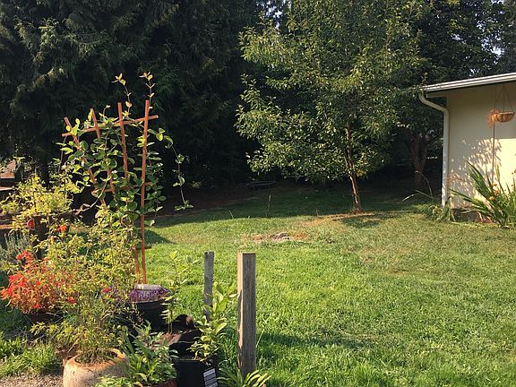 yard