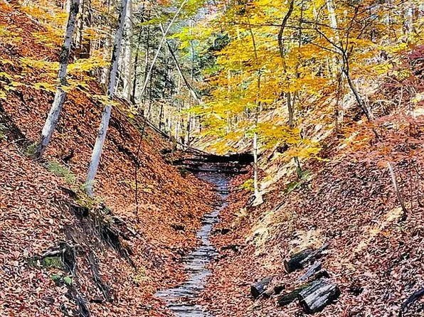 6519 Rice Rd, Boston, NY 14025