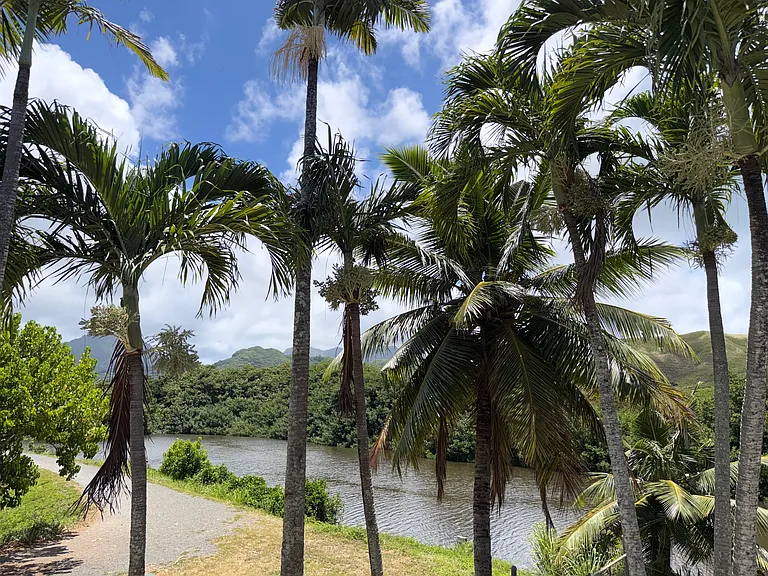Kainui Dr — Photo 9