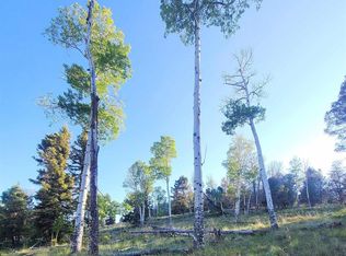 315 Kebler Trl, Powderhorn, CO 81243