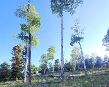 315 Kebler Trail, Powderhorn, CO, 81243