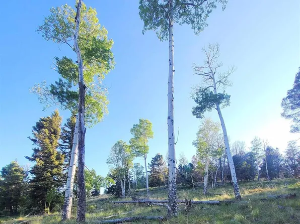 315 Kebler Trail, Powderhorn, CO 81243