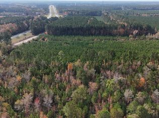 Cummings Rd, Manning, SC 29102