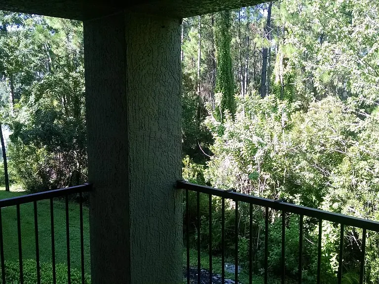 12602 Crest Springs Ln #1326 — Photo 9