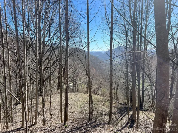 49 Dajaview Hts, Clyde, NC 28721