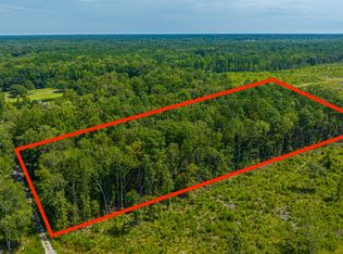 303 Trinity Dr, Summerville, SC 29483