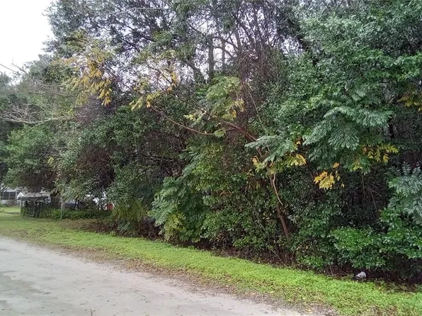 SE 30th Ct Lot 156158, Belleview, FL 34420