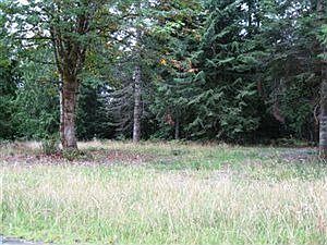 2nd image of 2317 65th Ln NW