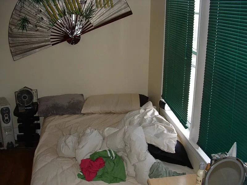 3 bed, 1600 sqft, $3,150 — Photo 4