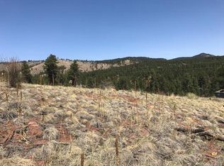 15699 Ouray Rd, Pine, CO 80470