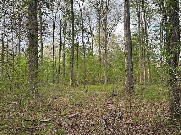 5th image of 1796 Traskwood Rd