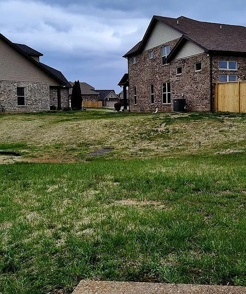 The back yard features a patio.