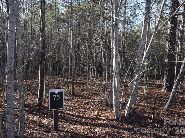 75 Tayberry Dr, Nebo, NC 28761