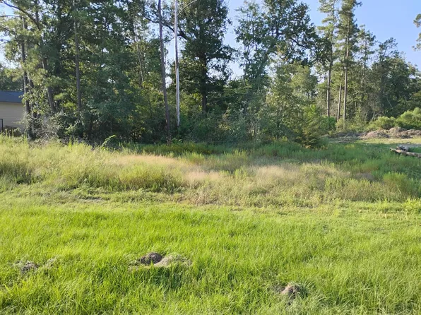 N Cattle Dr, Onalaska, TX 77360