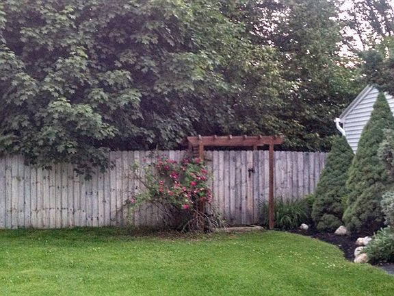 2nd image of 1451 Tudor Way