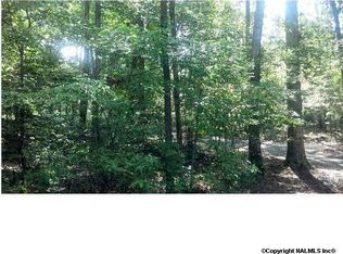 201 Bear Creek Rd SE, Fort Payne, AL 35967