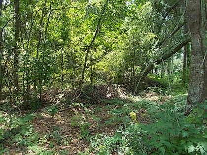 1st image of 101 Chapel Hill Dr