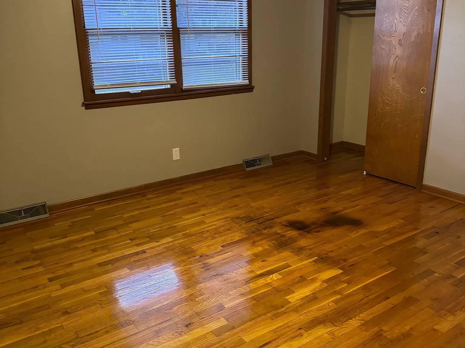 1107 Carol Dr — Photo 4