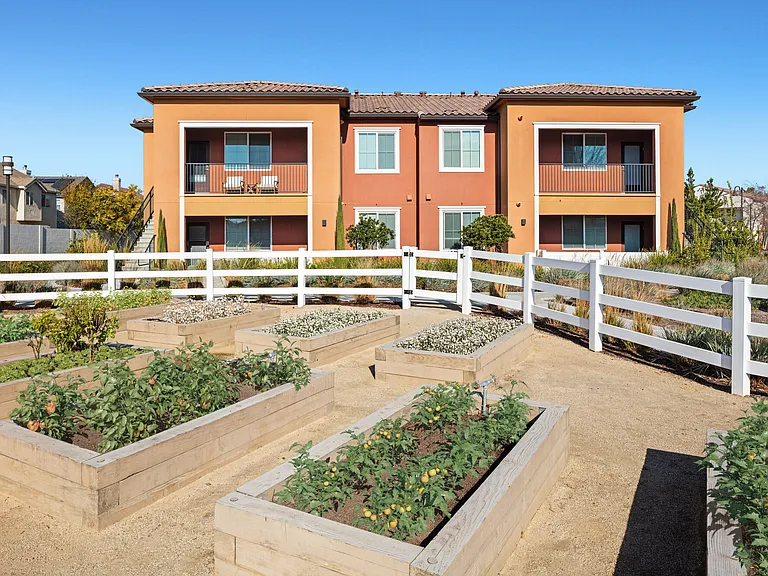 Harvest in Tracy — Photo 46
