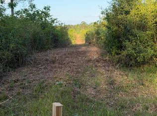 14.6 Acres Hwy E #48, Sandy Hook, MS 39478