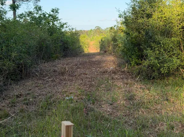 14.6 Acres Hwy E #48, Sandy Hook, MS 39478