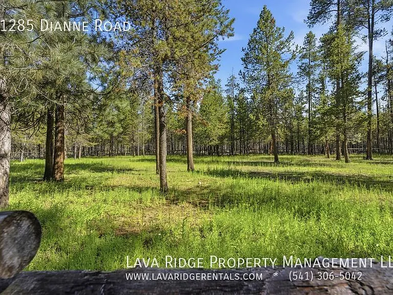 51285 Dianne Rd — Photo 41