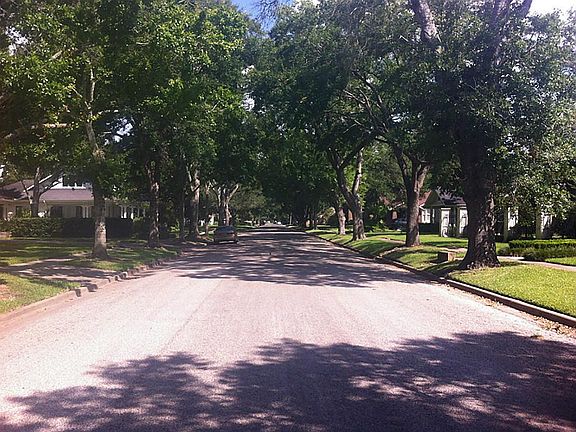 Tree lined street