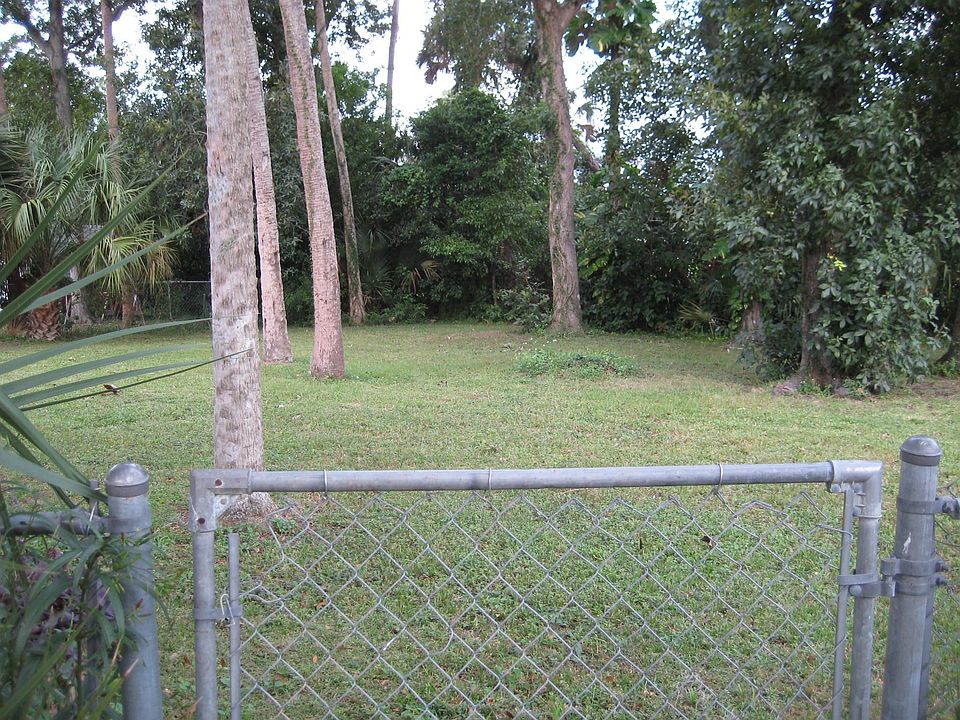 back yard