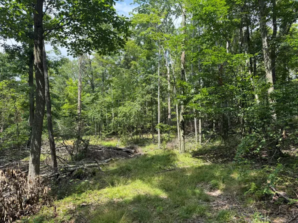 Cooper Ave, Glen Hope, PA 16645