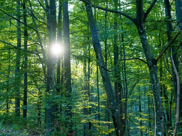 Lots 57 58 Wildwood Dr, Gladwin, MI 48624