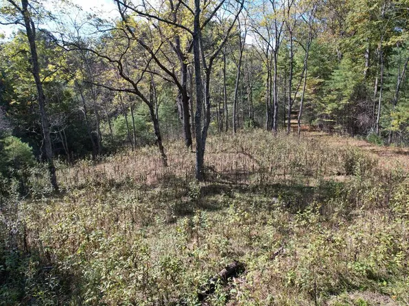 Tbd Byllesby Rd, Ivanhoe, VA 24350