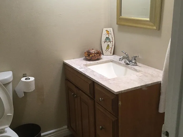 Hallway bathroom