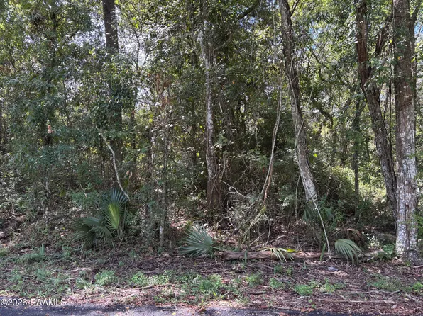 Plantation Pl, Abbeville, LA 70510