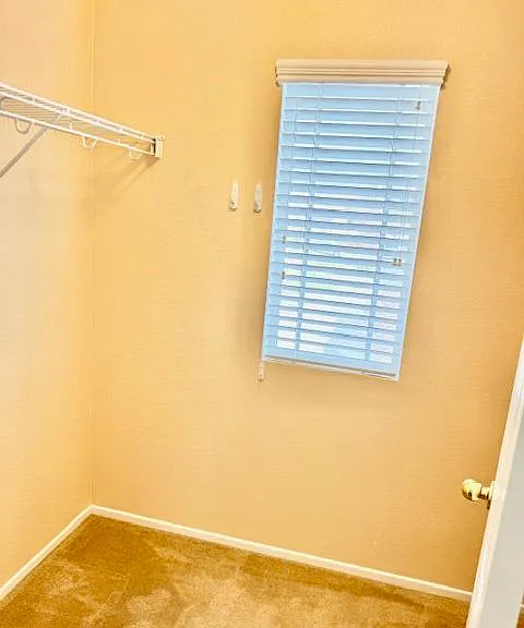 11904 Greenbluff Way — Photo 48